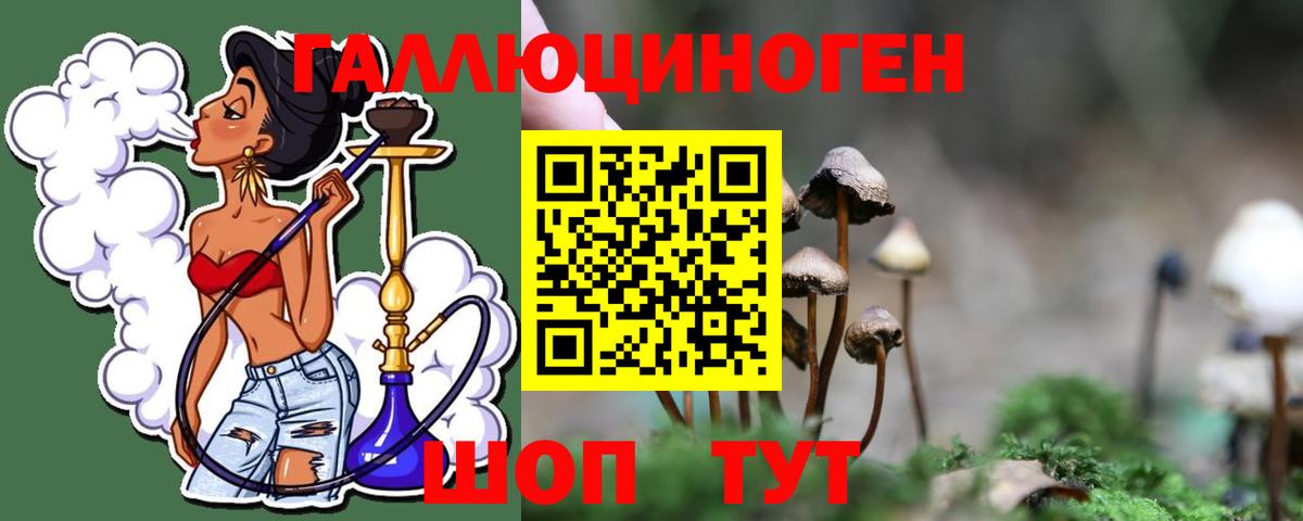 Новосибирск  Псилоцибиновые грибы Psilocybine cubensis  Вход с VPN 